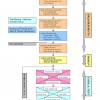 SDLC phases and activities